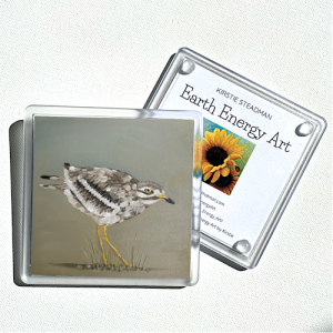Stone Curlew - Single Coaster