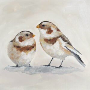 Snow Bunting - Norfolk Coastal Birds