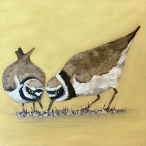 Little Ringed Plovers - Bird Art Print