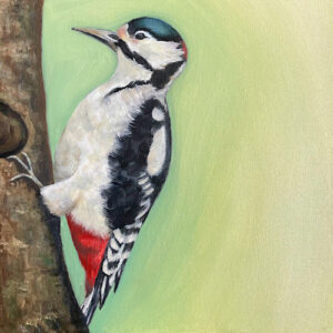 Woodpecker - Opportunity Knocks - Square Print