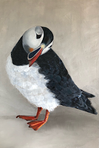 Puffin - Little Brother Of The North - A4 Print