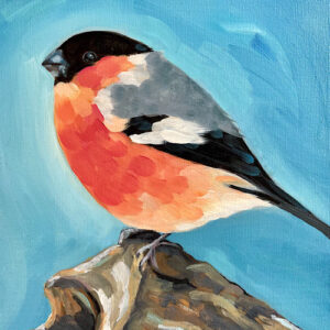 Little Bird Series #5 - Bullfinch