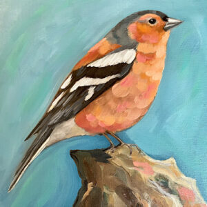 Little Bird Series #6 - Chaffinch