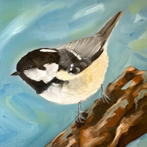 Little Bird Series #4 - Coal Tit