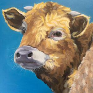 How Now Brown Cow - Cattle Art Print