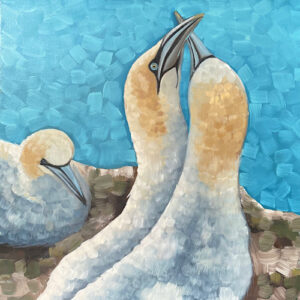 Gannets - Three's A Crowd - Bird Art Print