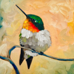 Hummingbird - Tiny Dancer No.3 - Bird Art Print