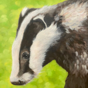 Badger - Keeper Of the Quiet Woods