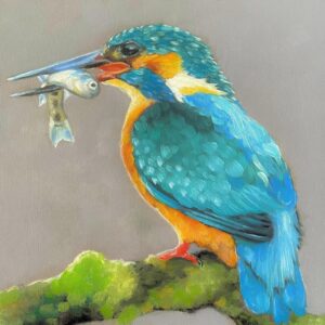 Kingfisher - The Catch